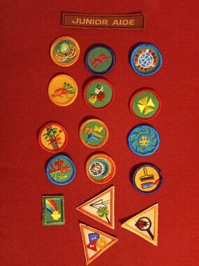 Lot of 17 patches embroidered patch applique Girl Scouts merit badges